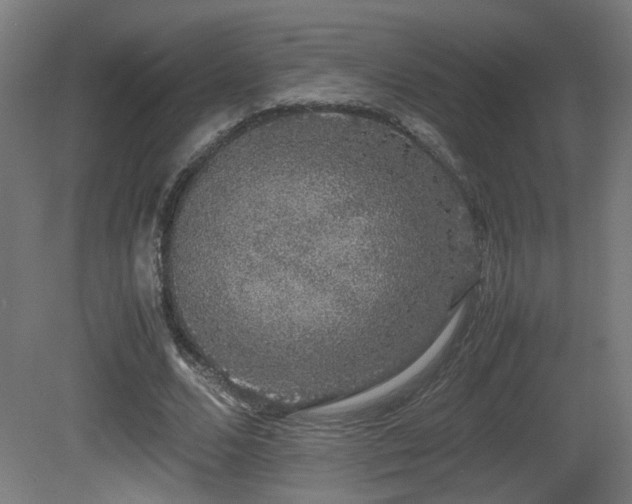 X0000081350680200701111456