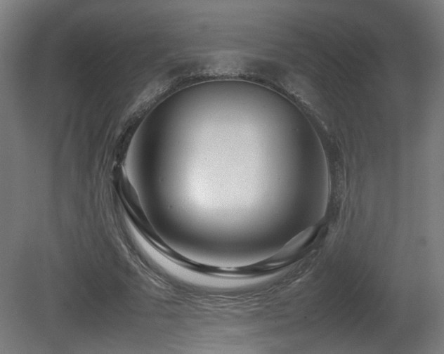 X0000081350681200701111456