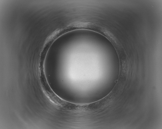 X0000081350682200701111456