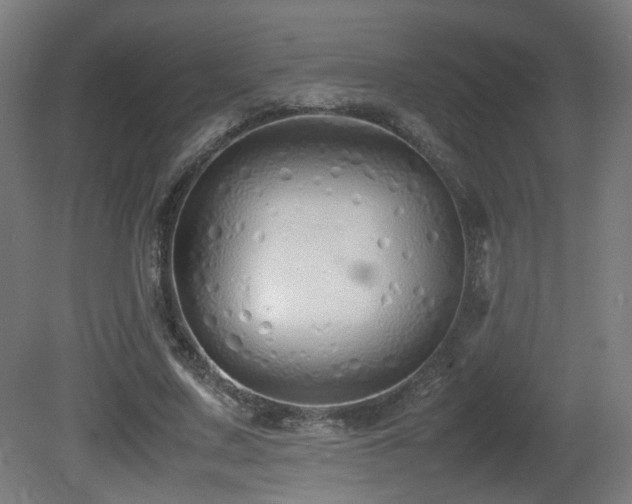 X0000081350683200701111455
