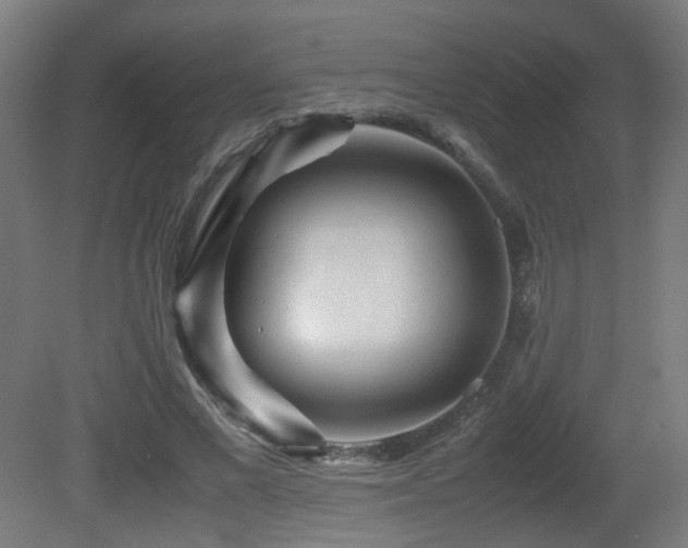 X0000081350685200701111455