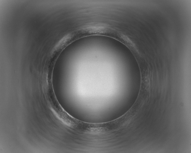 X0000081350686200701111455