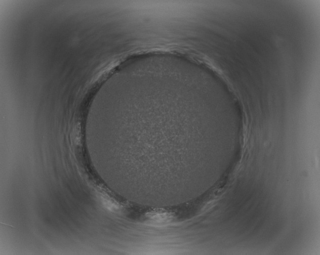 X0000081350689200701111455