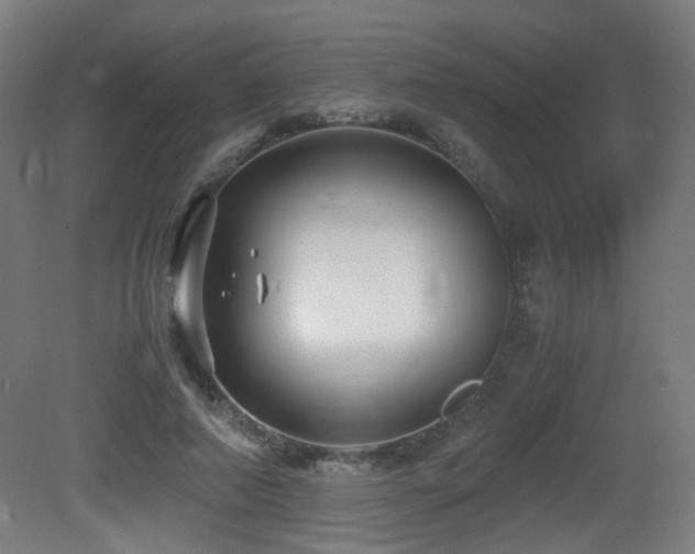 X0000081350690200701111455