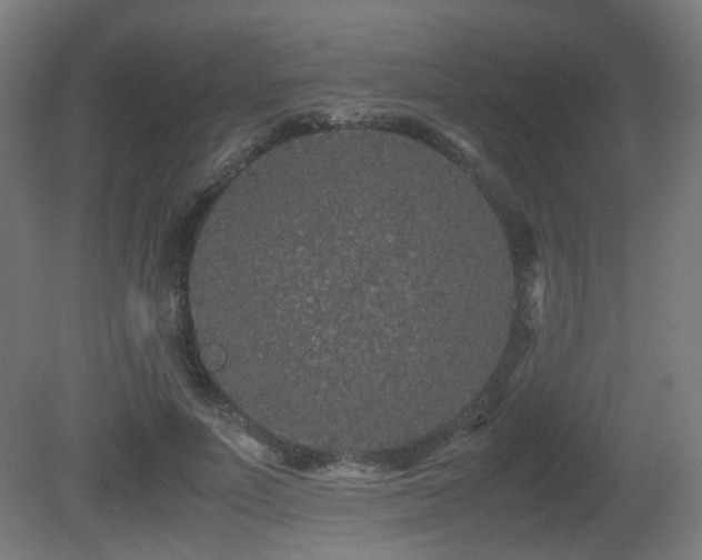 X0000081350691200701111455