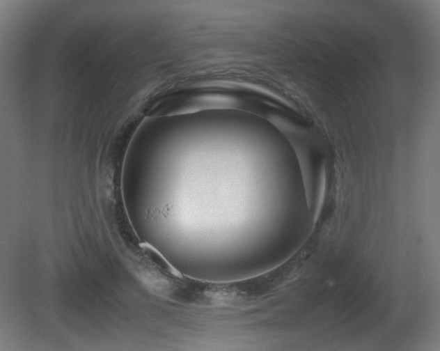 X0000081350693200701111455