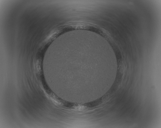 X0000081350695200701111455