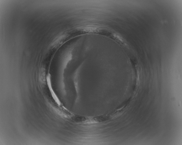 X0000081350696200701111455