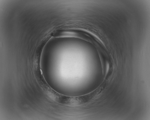 X0000081350697200701111455
