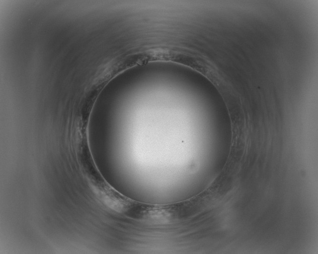 X0000081350702200701111455