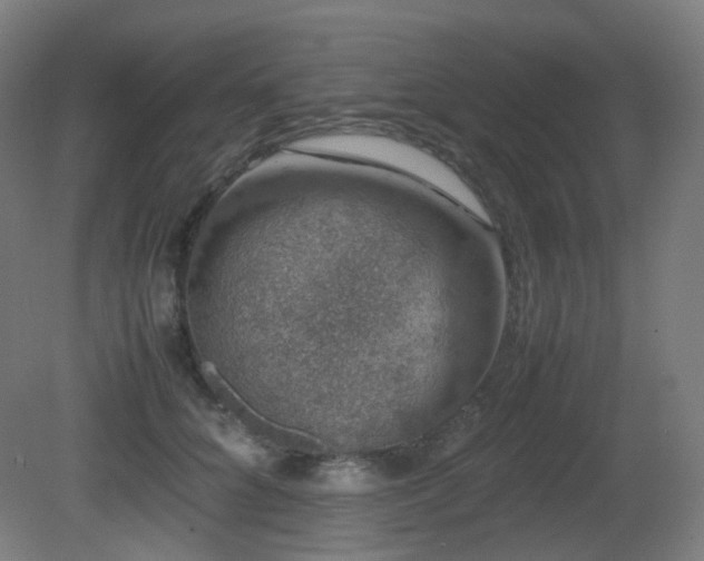 X0000081350704200701111455