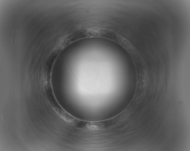 X0000081350706200701111455