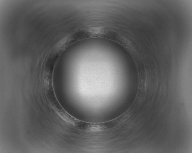 X0000081350710200701111455