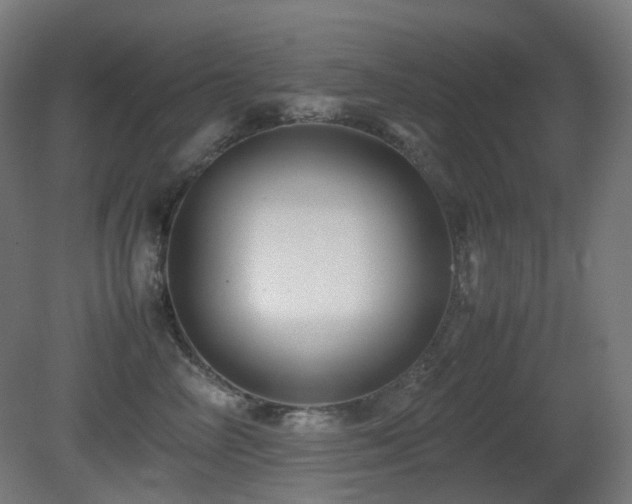 X0000081350714200701111455