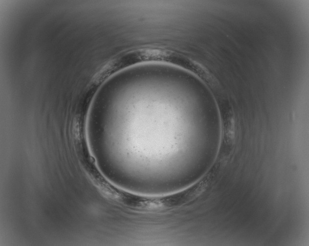 X0000081350715200701111455