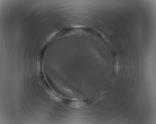 X0000081350716200701111455