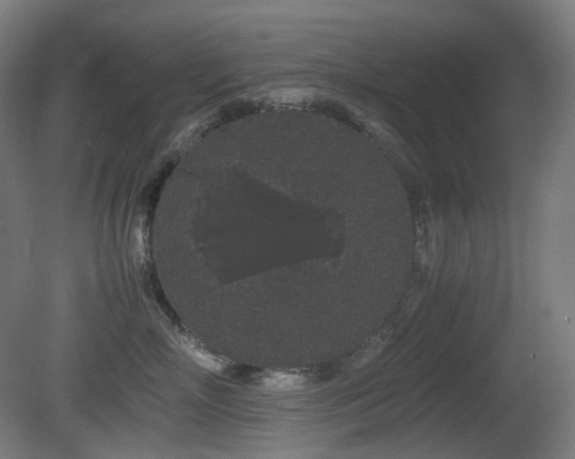 X0000081350718200701111455