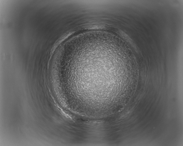 X0000081350721200701111454