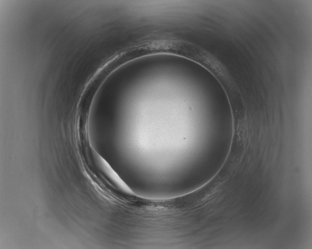 X0000081350722200701111454