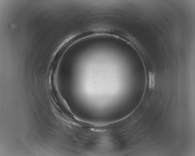 X0000081350723200701111454