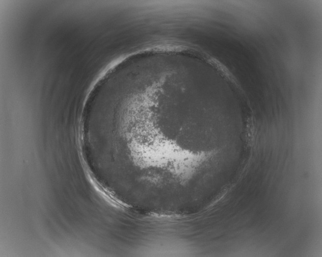 X0000081350726200701111454