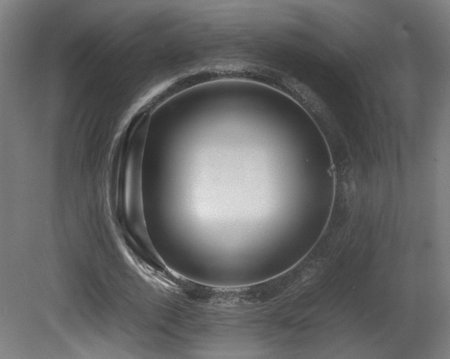 X0000081350728200701111454