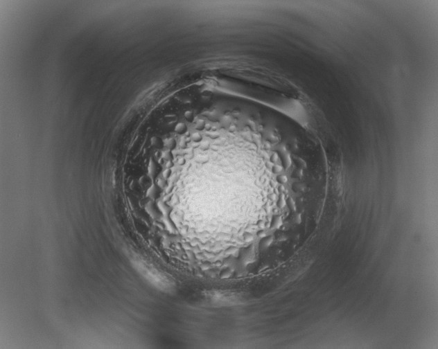 X0000081350733200701111454