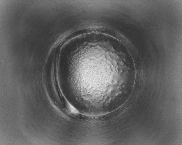 X0000081350734200701111454