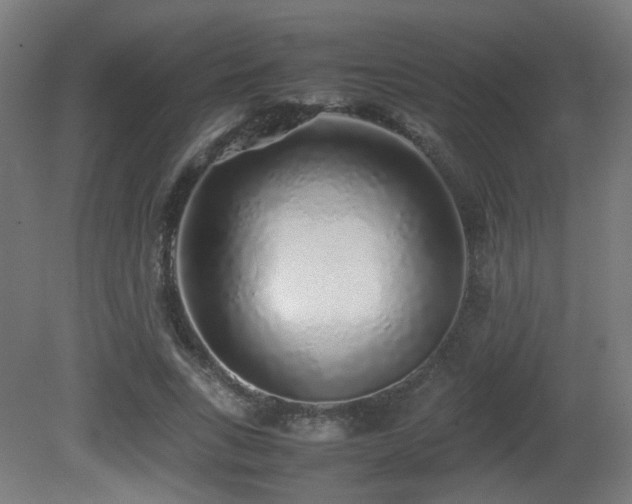 X0000081350735200701111454
