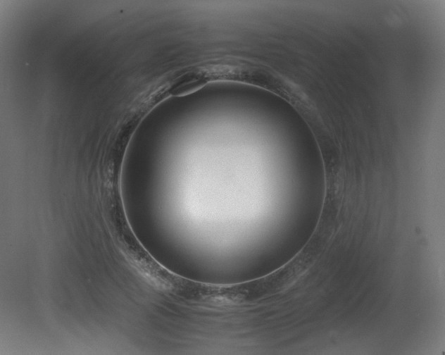 X0000081350737200701111454