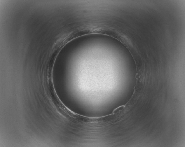 X0000081350740200701111454