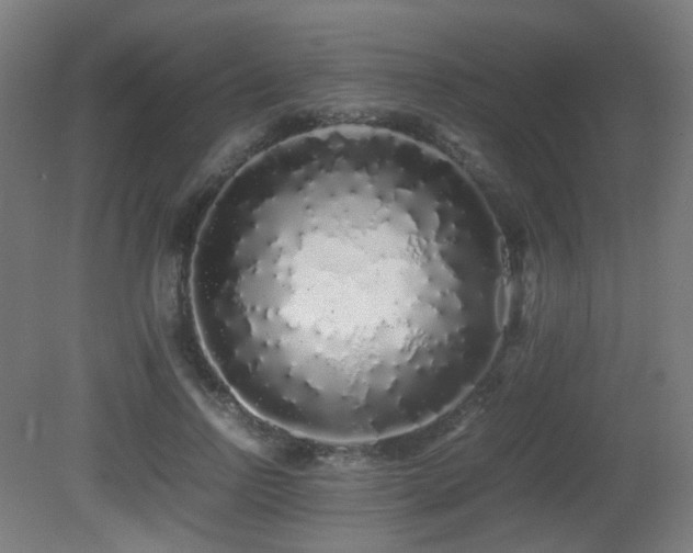 X0000081350742200701111454