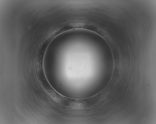 X0000081350743200701111454