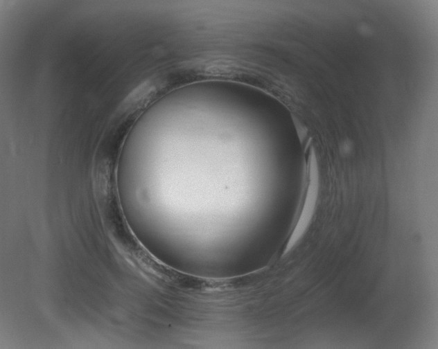 X0000081350744200701111454