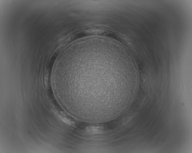 X0000081350745200701111454