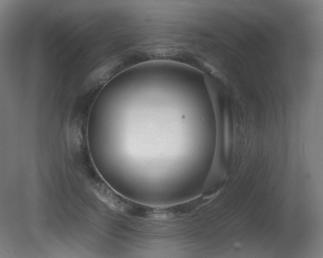 X0000081350746200701111454
