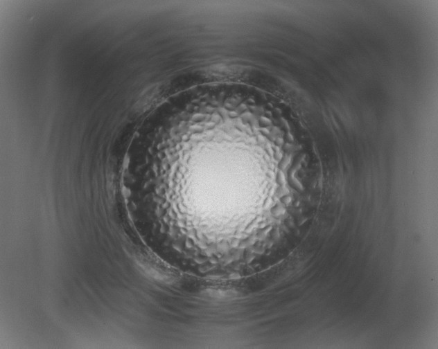 X0000081350749200701111455