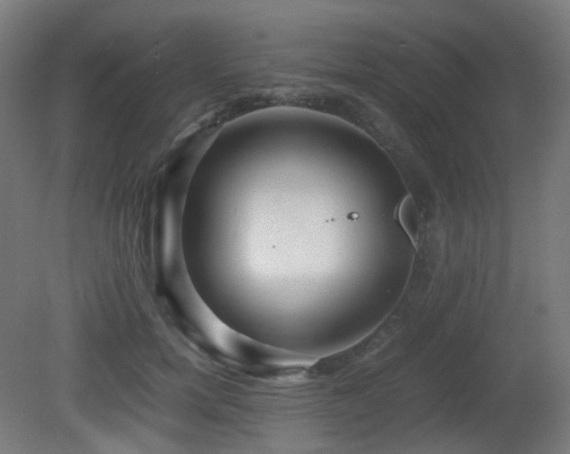 X0000081350750200701111455