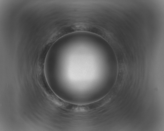 X0000081350751200701111455