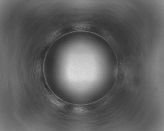 X0000081350753200701111455