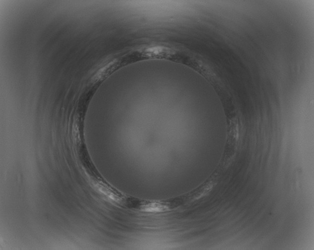 X0000081350754200701111455