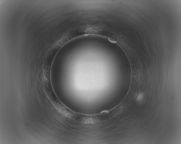 X0000081350755200701111455