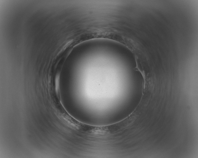 X0000081350756200701111455