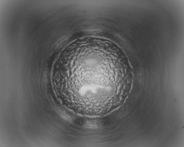 X0000081350757200701111455