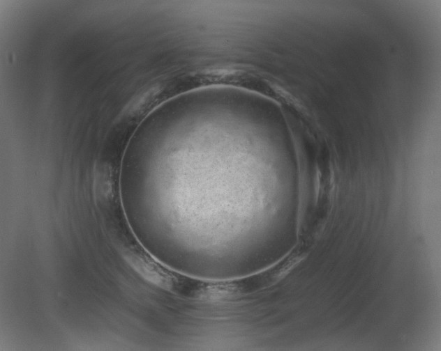 X0000081350758200701111455