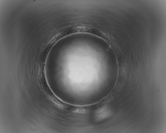 X0000081350759200701111455