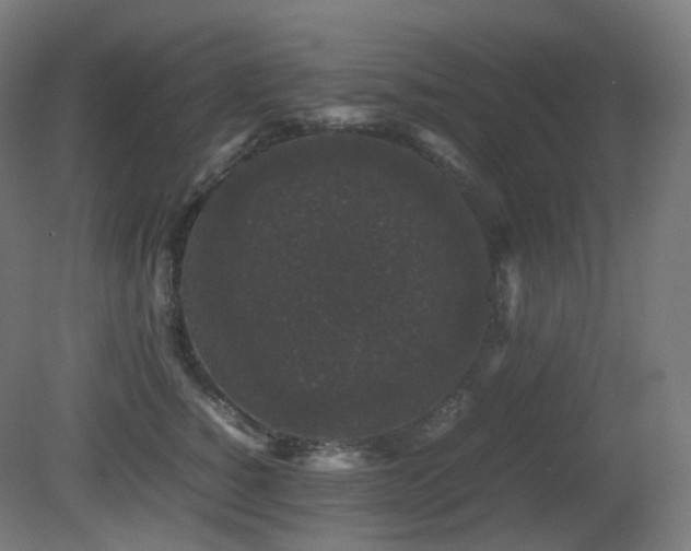 X0000081350760200701111455