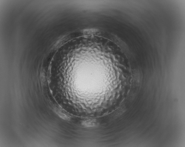 X0000081350761200701111455