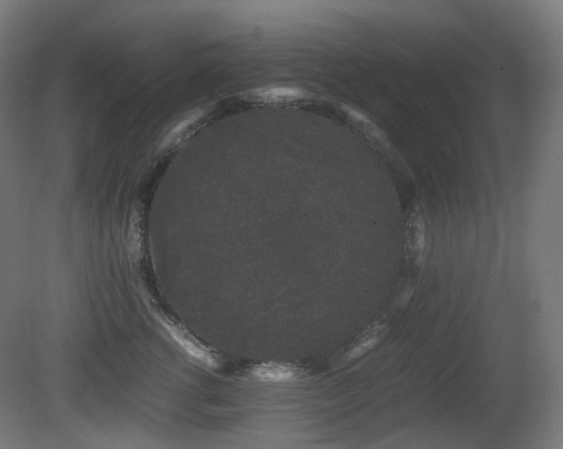 X0000081350762200701111455