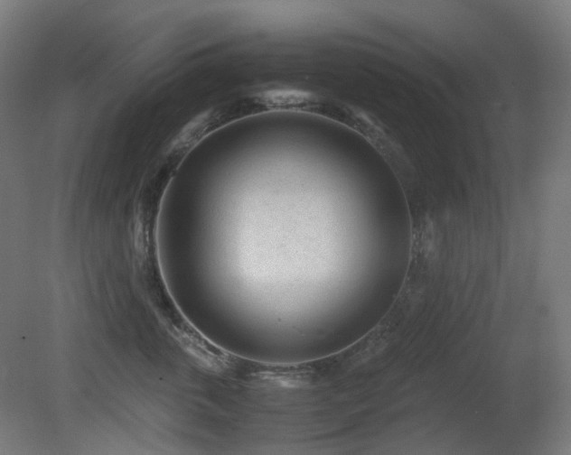 X0000081350763200701111455